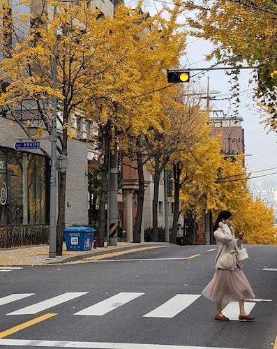 rue de Seoul 
