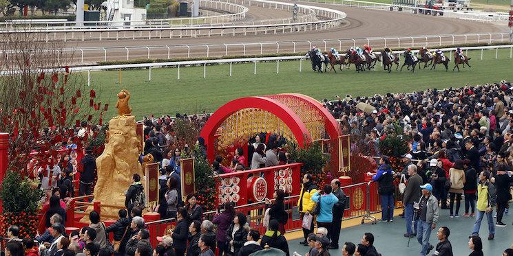 courses hippiques sha tin nouvell an chinois