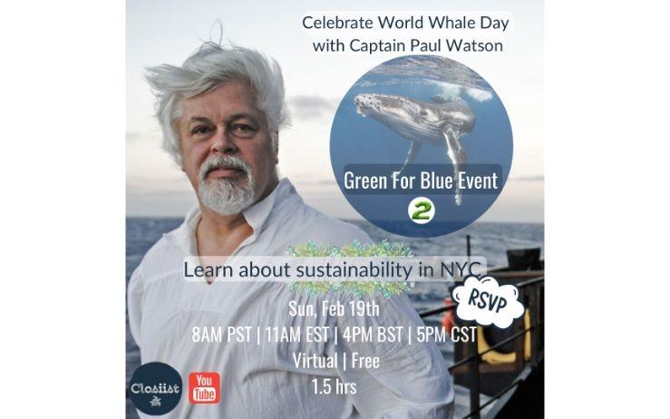 World Whale Day