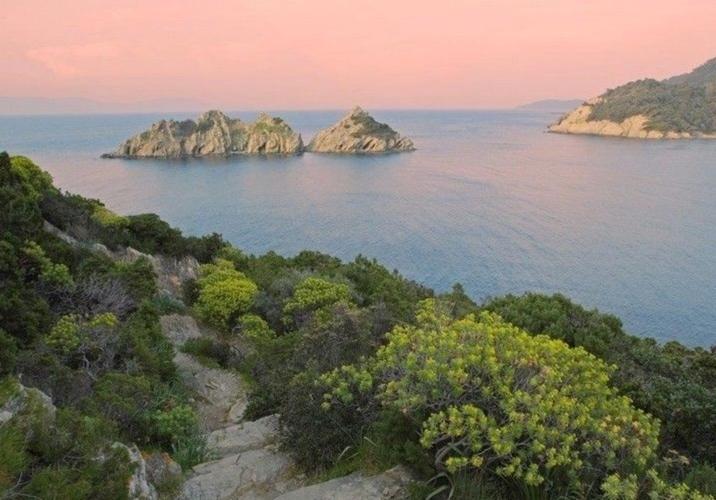 L'île de Port-Cros, dans le Sud-Est de la France