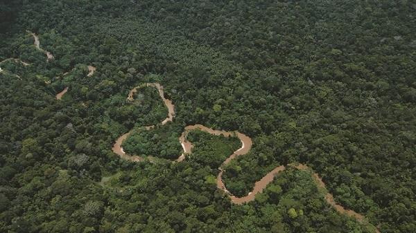 COP 26 : Le Pérou signe la déclaration sur les forêts et l'utilisation des terres