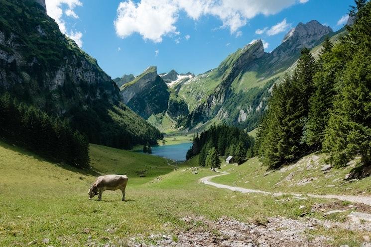 La suisse le pays le plus paisible au monde en 2022