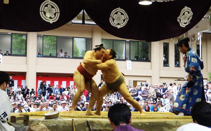 sumo tokyo