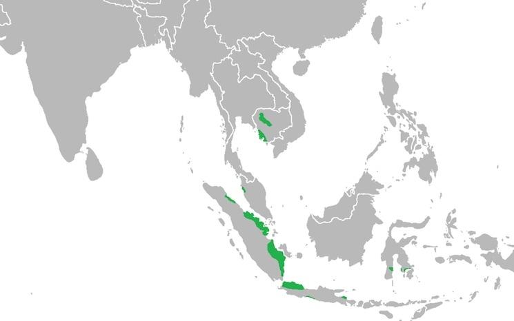 Aire de répartition du Tantal Blanc source wikipedia