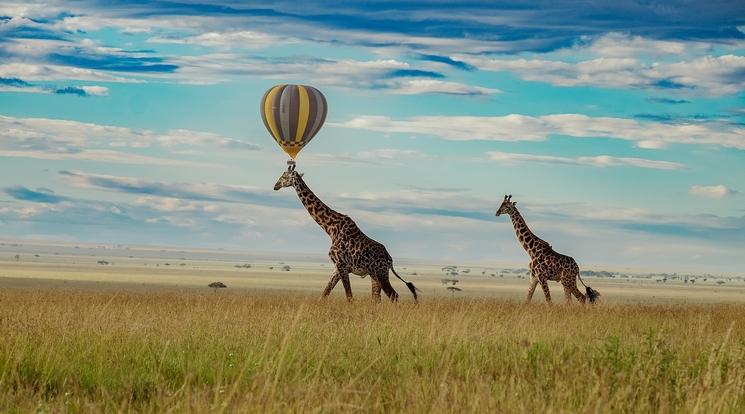voyage en tanzanie