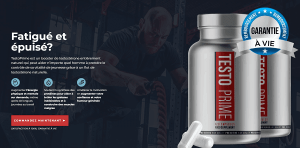 Booster De Testostérone Trec Nutrition TESTOXX - 60 Capsules - Pour énergie Et Musculation