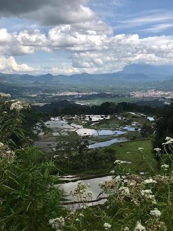 Toraja Sulawesi voyage indonésie