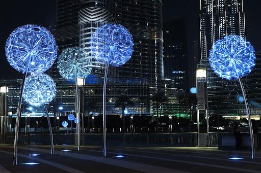 Dandelions Dubai 