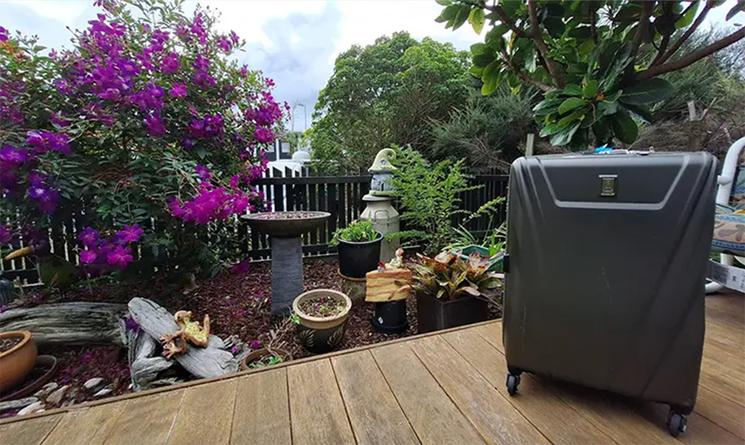 Une valise posée dans un jardin