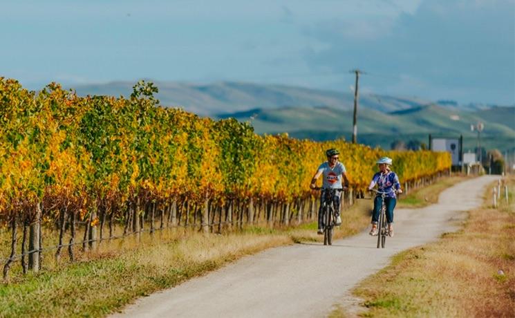 Hawke's bay trails 