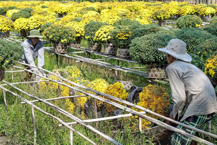 Vente des fleurs au Vietnam