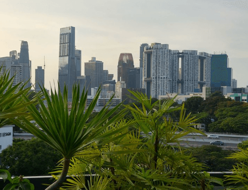 singapour vert