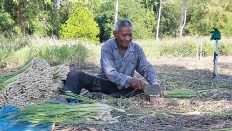 Sang Sat, 84 ans, qui vit dans le village de Chamkar Lahong, dans la province de Battambang