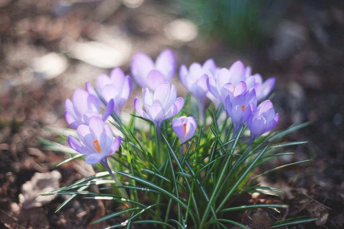 Déprime saisonnière 