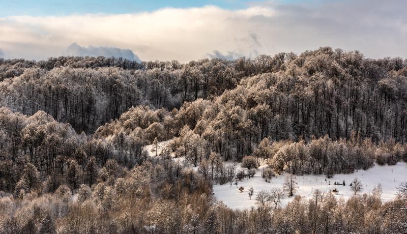 randonnees-en-hiver