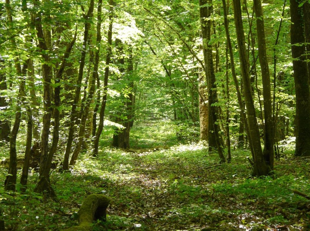 Parfumoi, création, Créassence, parfum, unique, Sylvie, Jourdet, France, Londres