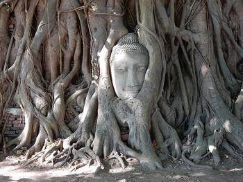 17995668068_e23d6a4aaf_o-Michael-Coghlan-350