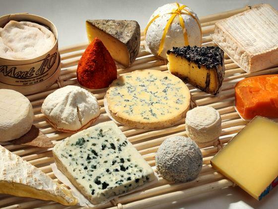Première édition du festival du fromage de Newstead