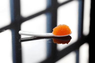 Kalix-löjrom-gastronomie-suédoise