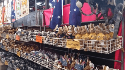 Quels souvenirs de Brisbane ramener à vos proches?