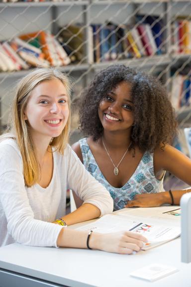 ieseg école de commerce management