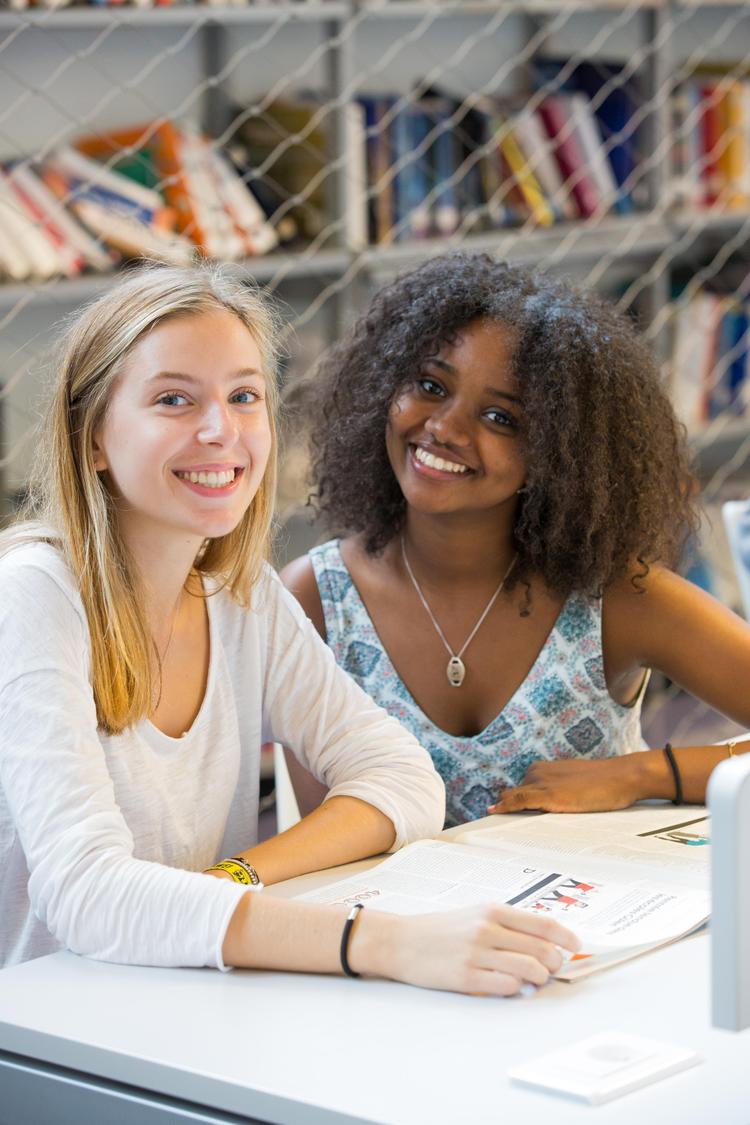 ieseg école de commerce management