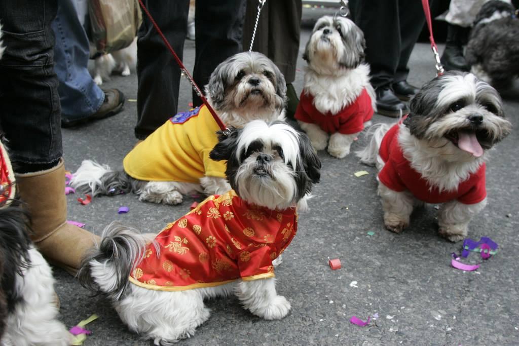 28124758_10204225961367442_1429511704_o