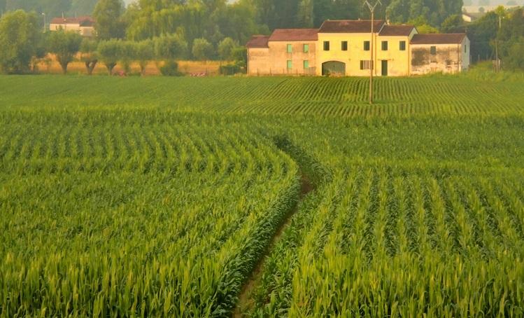 entreprise agricole italie