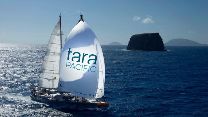 1-TARA-PACIFIC-Spinaker-©-F.Latreille-Tara-Expedition-Fondation