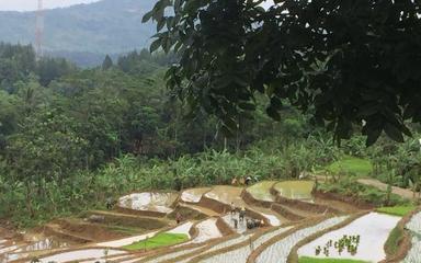 jakarta promenade rando