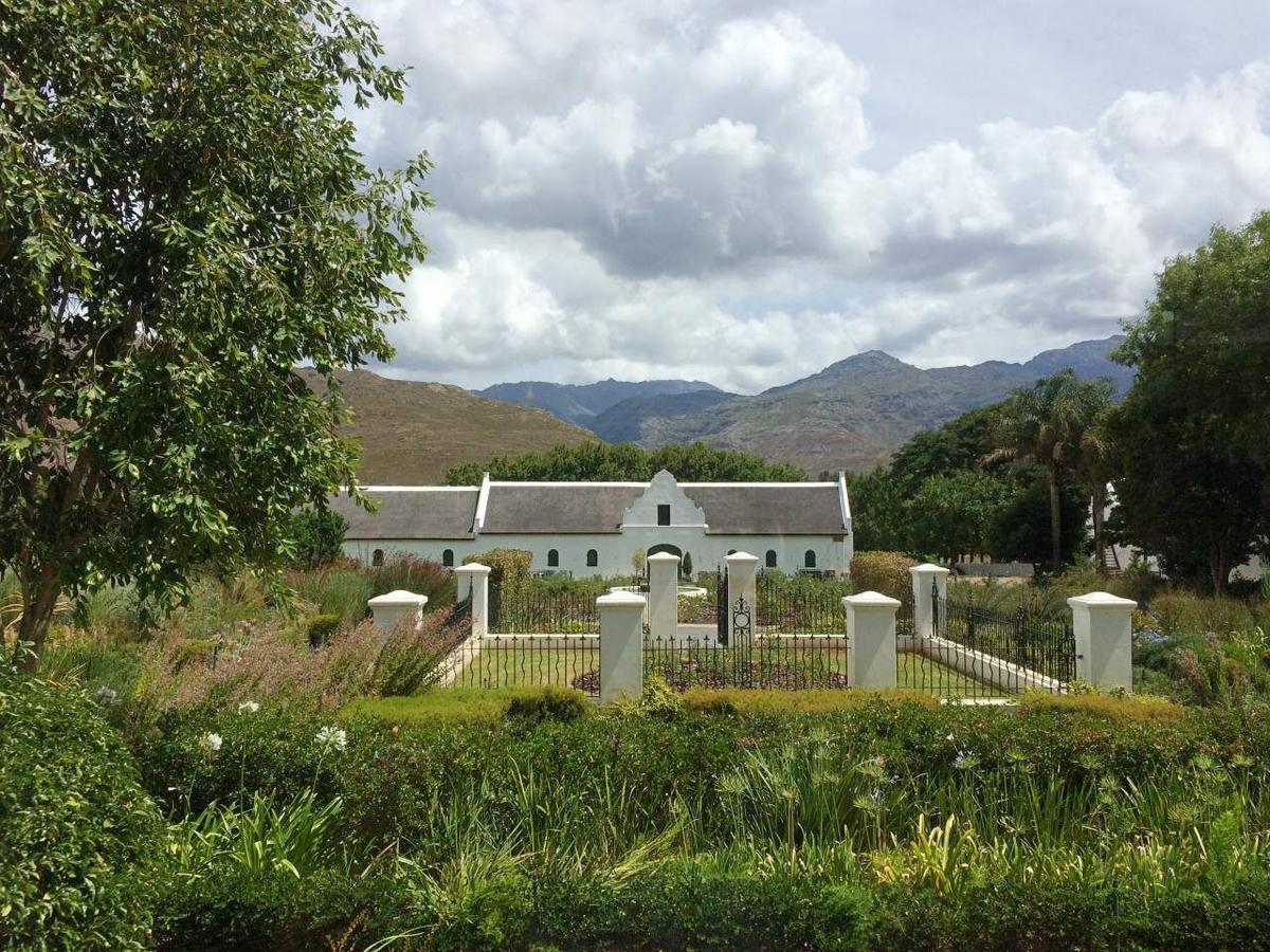 Vignobles du Cap Afrique du Sud