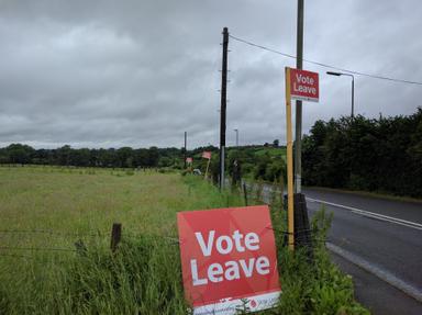 « Vote Leave » combine financière