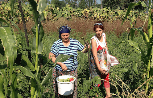 bedriye engin ecotourisme terre de femmes istanbul turquie