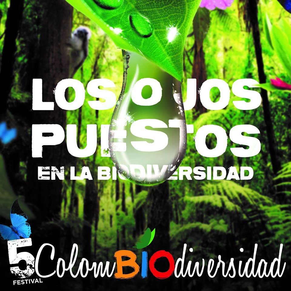 festival, colombiodiversidad, colombodiversidad, eau, environnement, bogota, écologie, déforestation, agua, medellin
