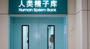 chine-banque-sperme-don-patriote