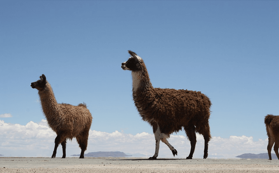 Capture d’écran 2018-05-18 à 19.07.35
