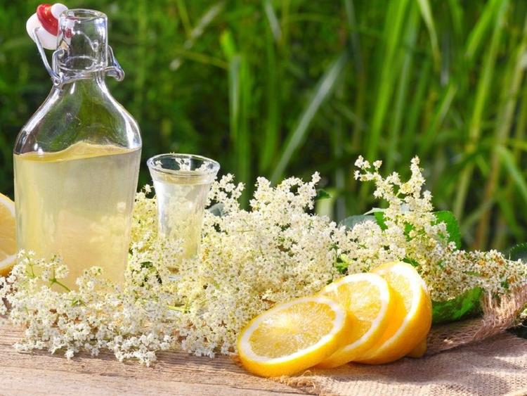 Socata recette roumaine