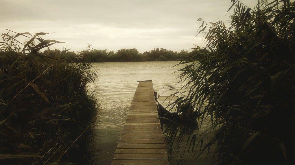 11942199_10153667117314901_6806719409886737357_o