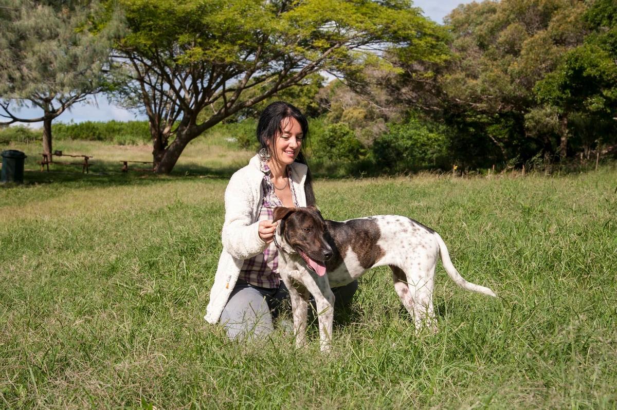 comportementaliste canin