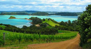 Waiheke auckland nouvelle zelande meilleure ile