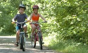 Remise des prix du Challenge Dédé le Tricot Rayé pour inciter à l'écomobilité