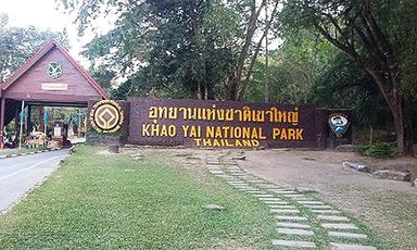 Marathon Khao Yai
