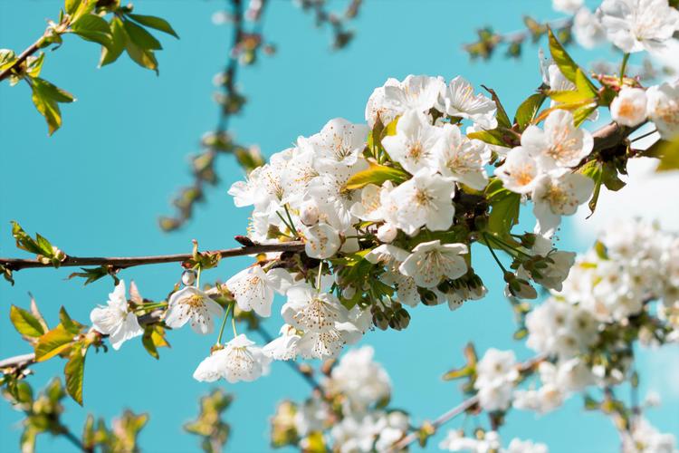 agenda septembre printemps culture festival exposition musée agriculture marché asie street food fashion week mode Melbourne Australie