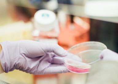 gel hydroalcoolique bactérie résistante hôpital Melbourne Australie étude scientifique Etats-Unis