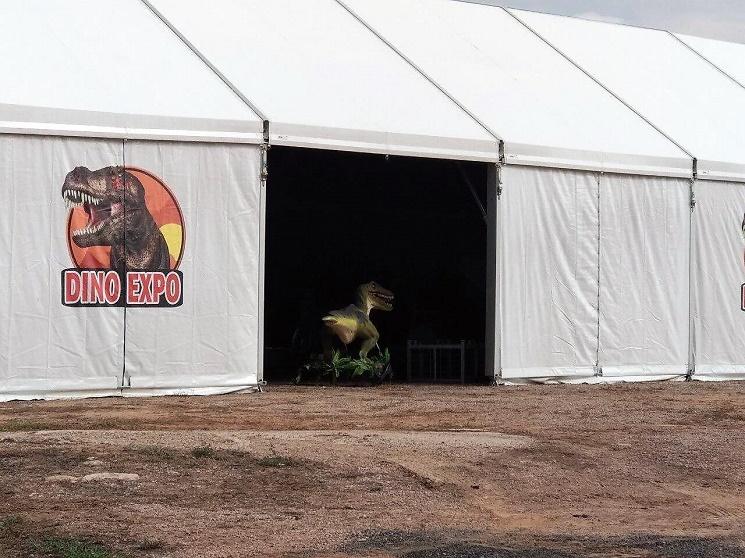 Un petit dino s'est perdu