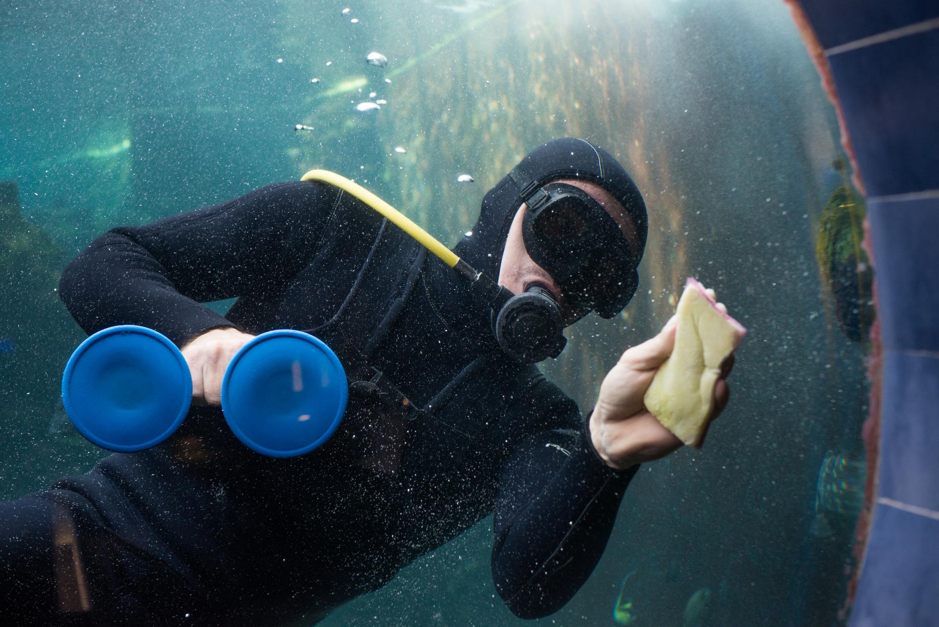 Dans les coulisses de l’Aquarium de Nouméa
