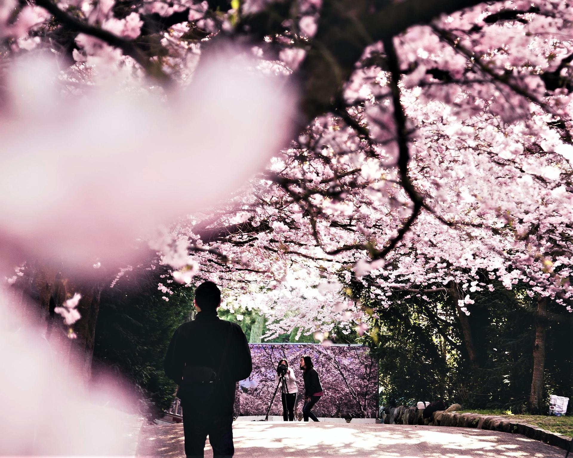 printemps week-end agenda idée sortie festival