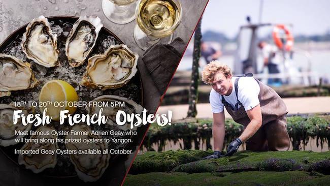 43103892_239253530086976_4555022046739824640_n