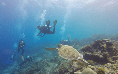 sante plongee éviter accident