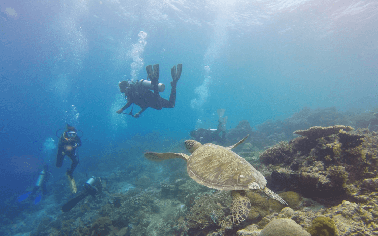 sante plongee éviter accident